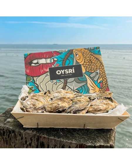 Oysters Oysri karp