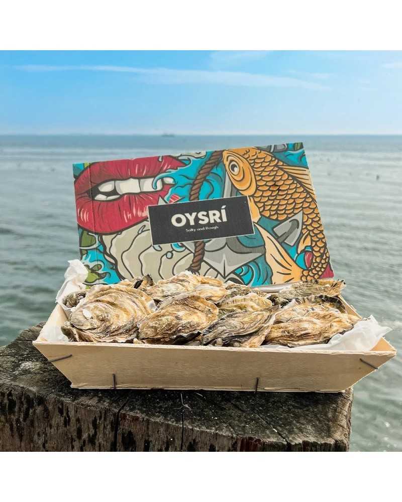 Oysters Oysri karp Oysters Oysri karp