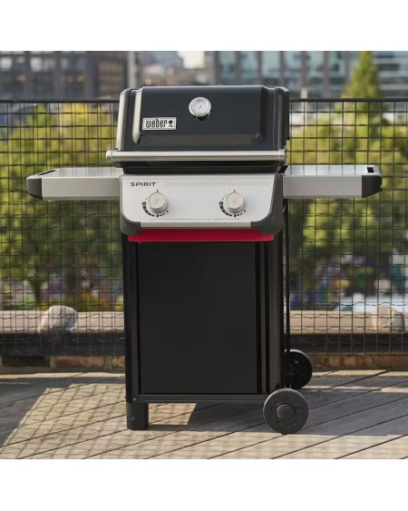 Weber Spirit E-210