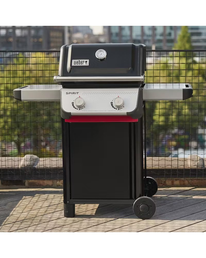 Weber Spirit E-210