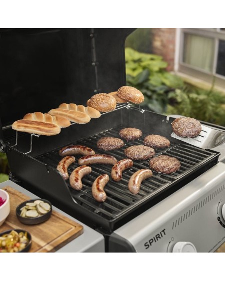 Weber Spirit E-210