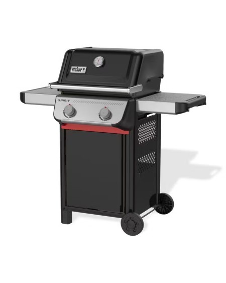 Weber Spirit E-210