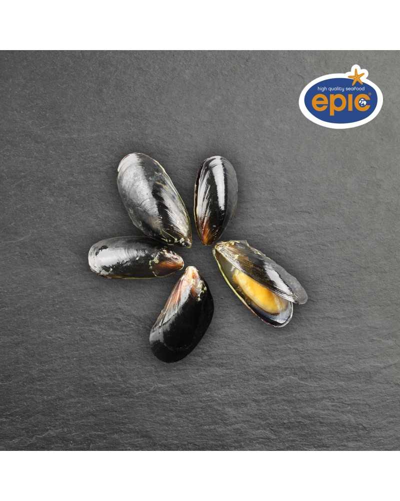 Tšiili rannakarbid, 60-80tk/pakis, 1kg, eelkeedetud, külmutatud