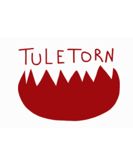 Tuletorn pruulikoja uued õlled 4x