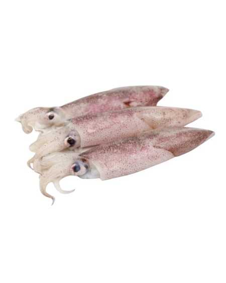 Terved California kalmaarid, 1kg NET, külmutatud