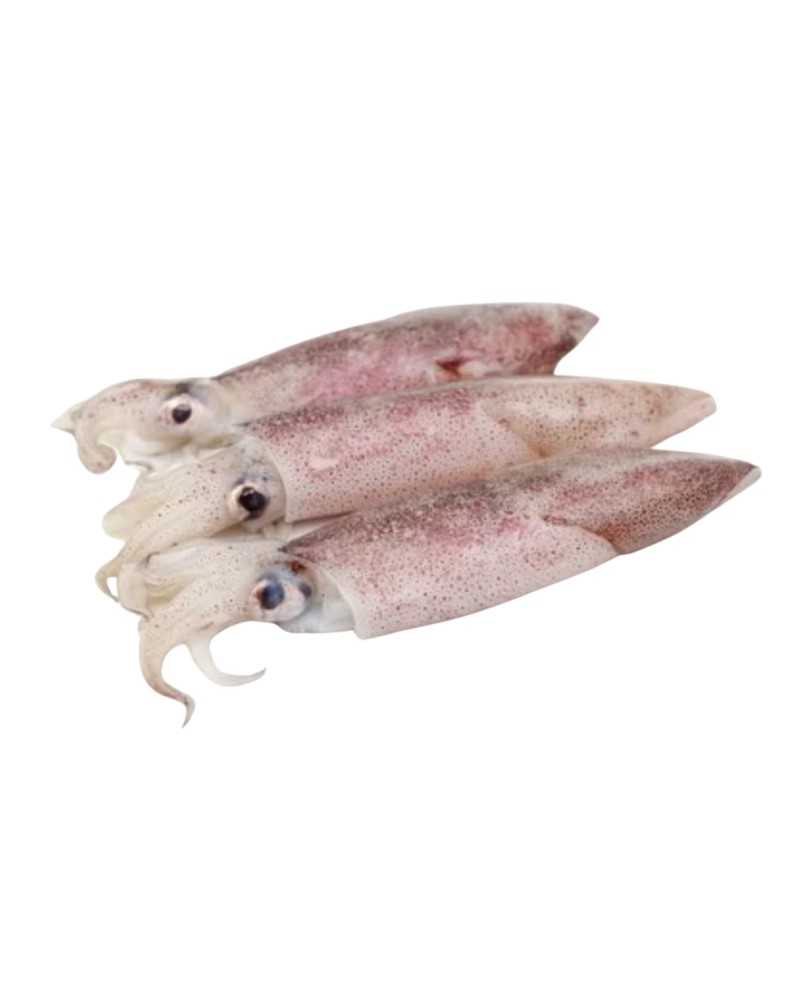 Terved California kalmaarid, 1kg NET, külmutatud